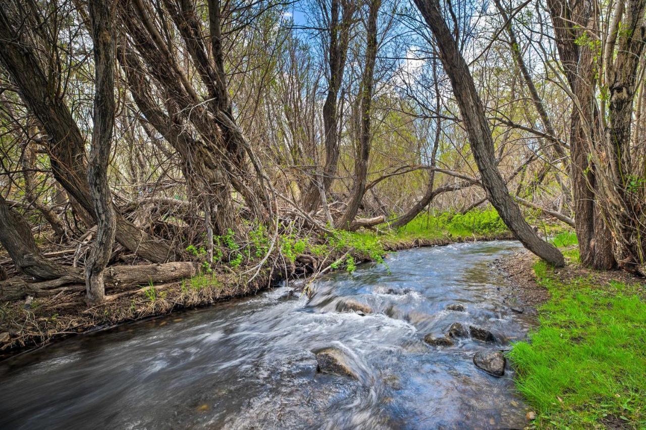 Mammoth Lakes Nature Escape Hot Tub Access! Buitenkant foto